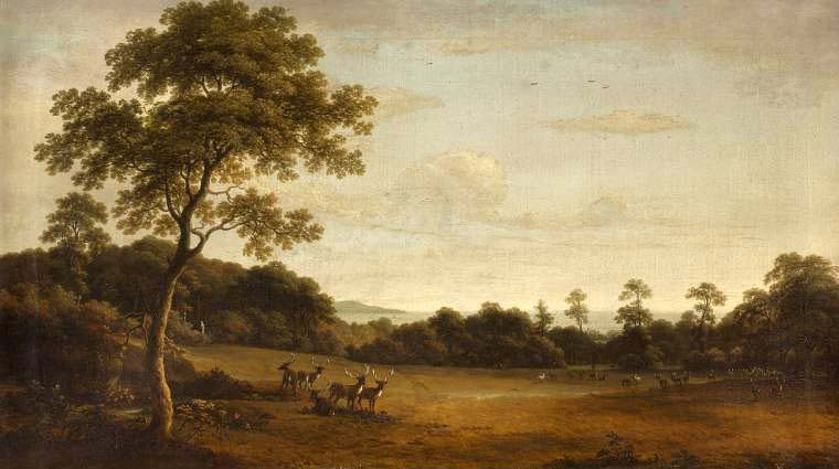 Mount Merrion Pk